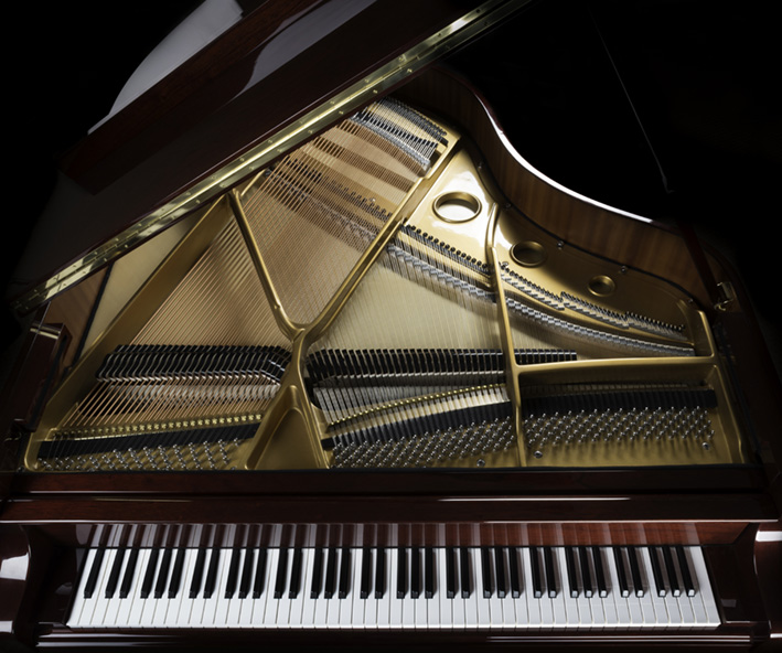 grand piano overview, keyboard, strings, and inside