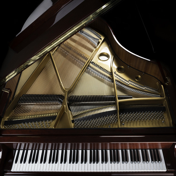 grand piano overview, keyboard, strings, and inside